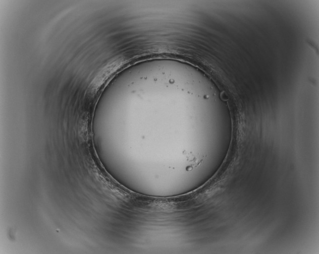 X0000103400977200809261615