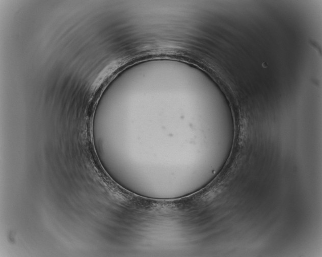 X0000103400978200809261615