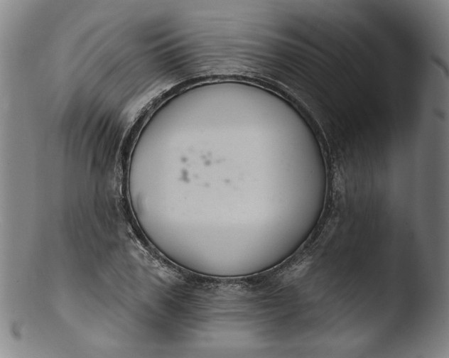 X0000103400979200809261615