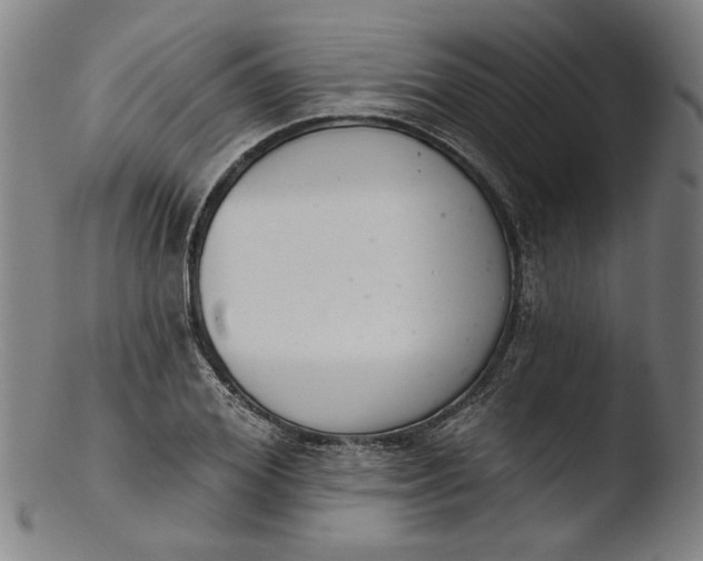 X0000103400980200809261615