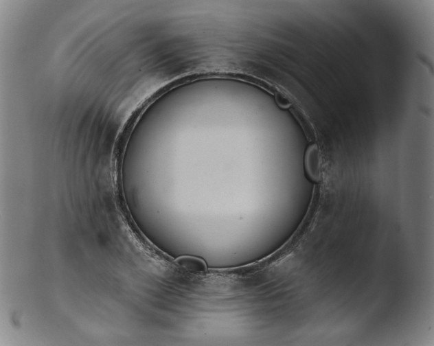 X0000103400981200809261615