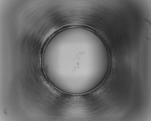 X0000103400982200809261615