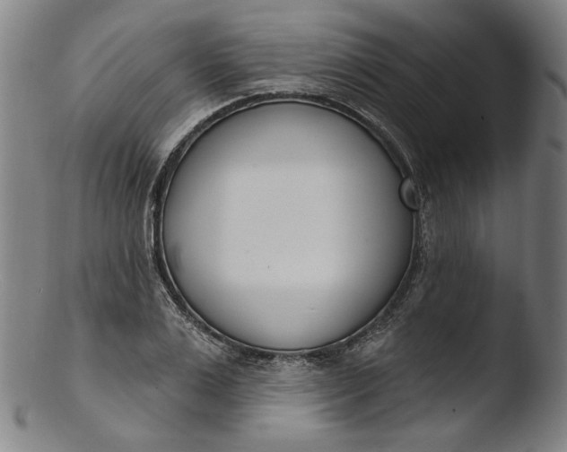 X0000103400983200809261615