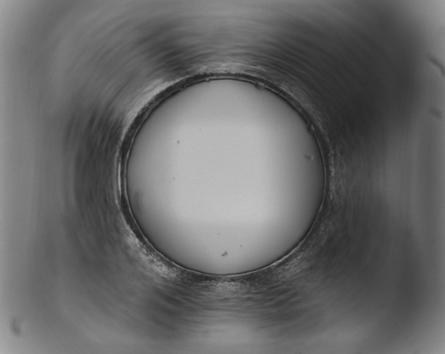 X0000103400984200809261615