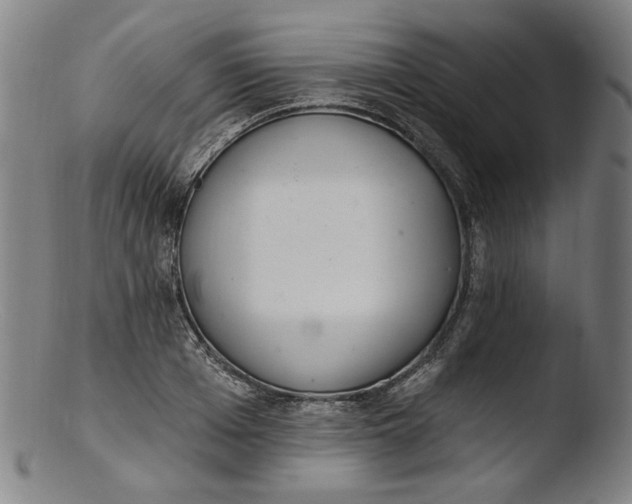 X0000103400985200809261615