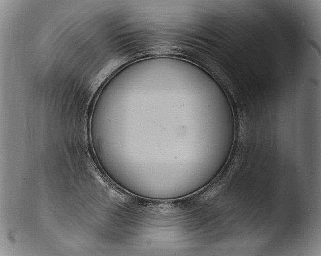 X0000103400986200809261615