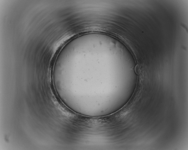 X0000103400987200809261615