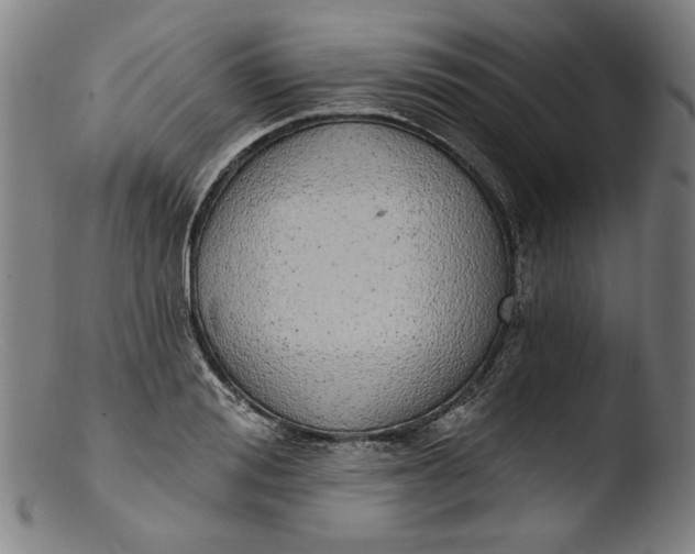 X0000103400988200809261615