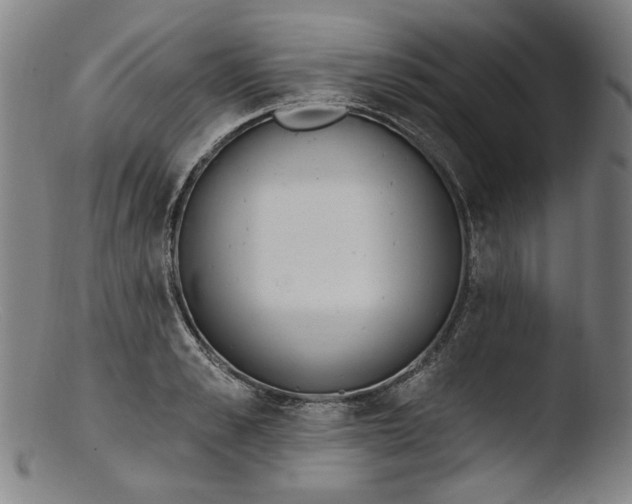 X0000103400989200809261615