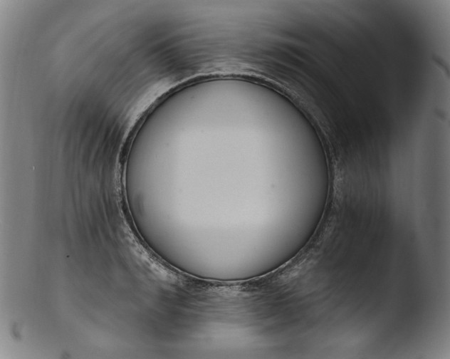 X0000103400990200809261615