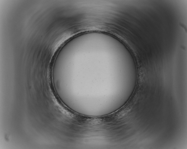 X0000103400991200809261615