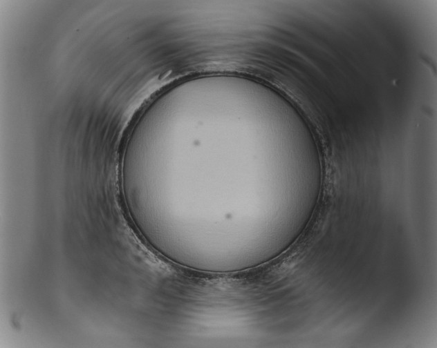 X0000103400992200809261615