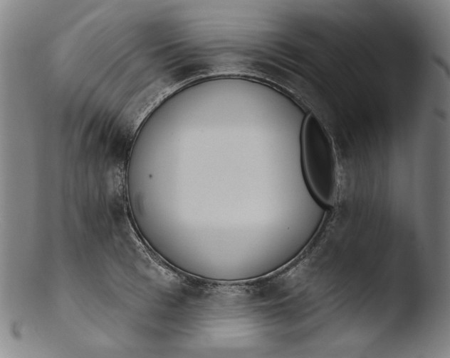 X0000103400993200809261615