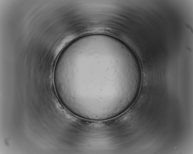 X0000103400994200809261615