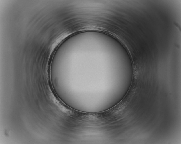 X0000103400995200809261615