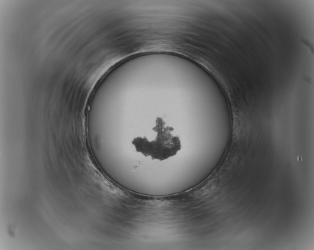 X0000103400996200809261615