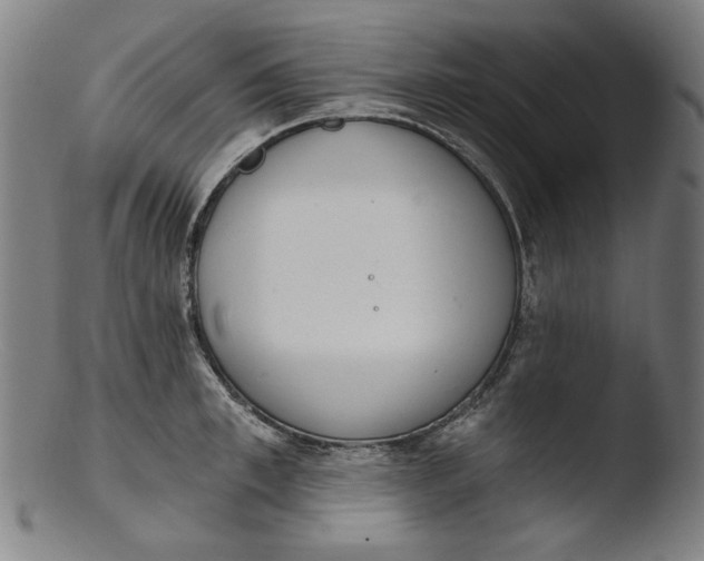 X0000103400997200809261615