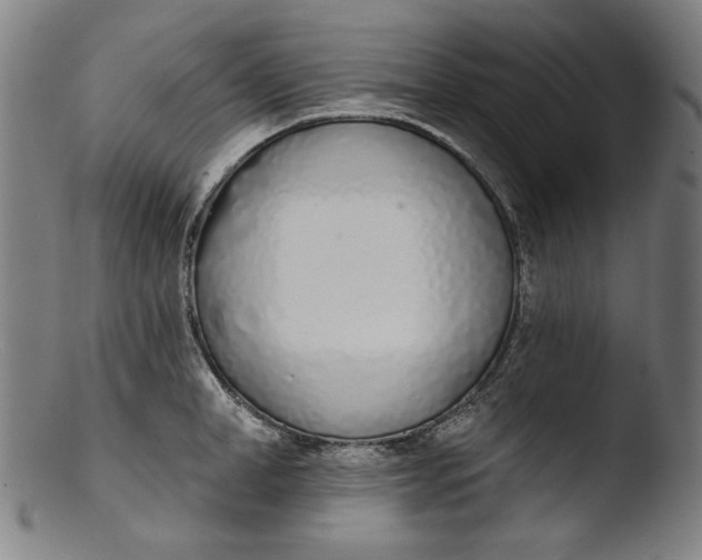 X0000103400998200809261615