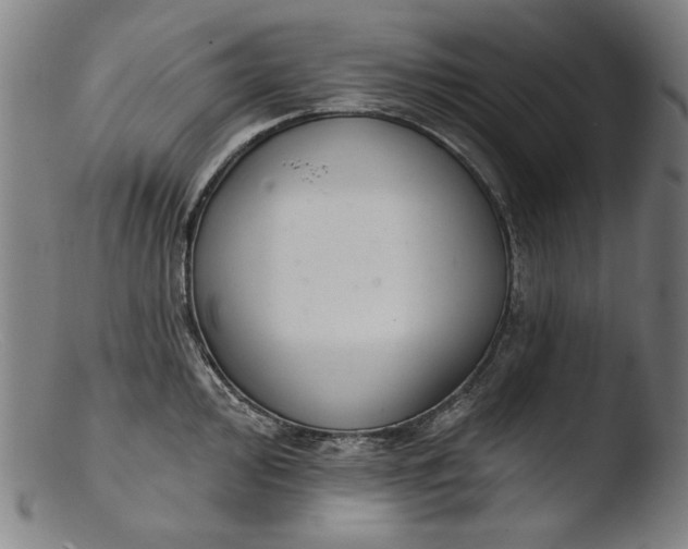 X0000103401000200809261615