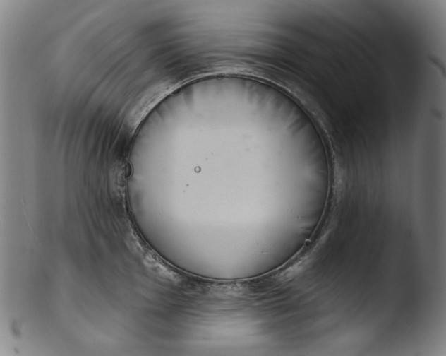 X0000103401001200809261615