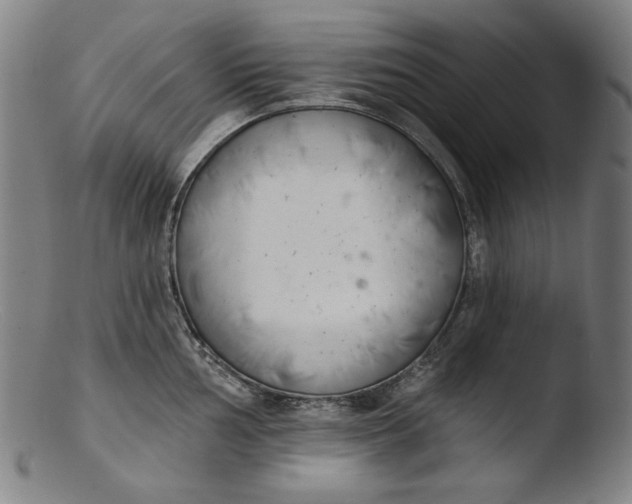 X0000103401002200809261615