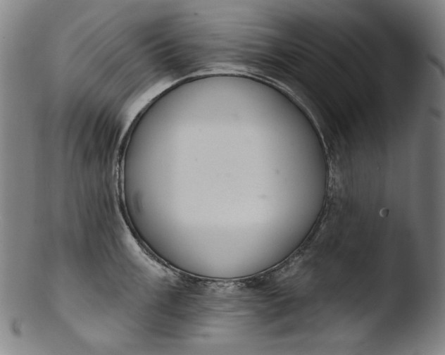 X0000103401003200809261615