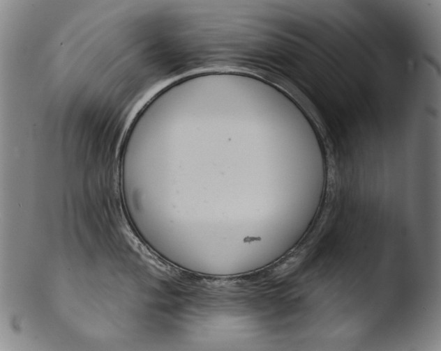 X0000103401004200809261615