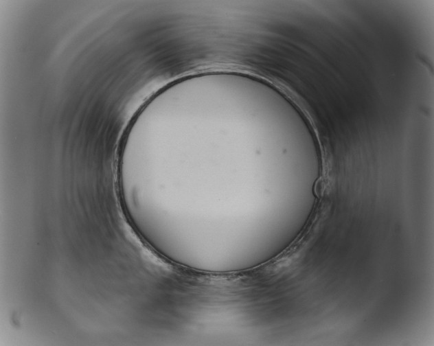 X0000103401005200809261615