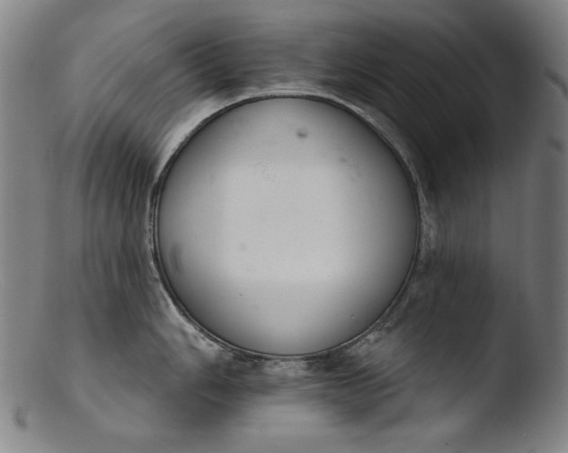 X0000103401006200809261615