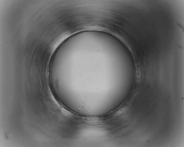 X0000103401007200809261615