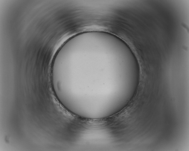 X0000103401008200809261615