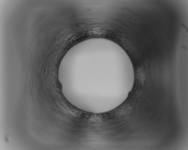 X0000103401009200809261614