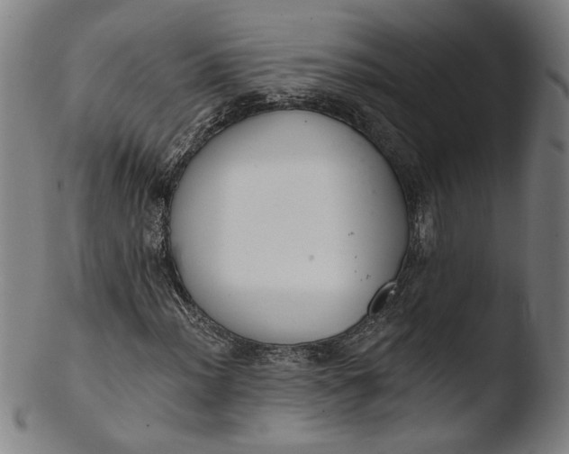 X0000103401012200809261614