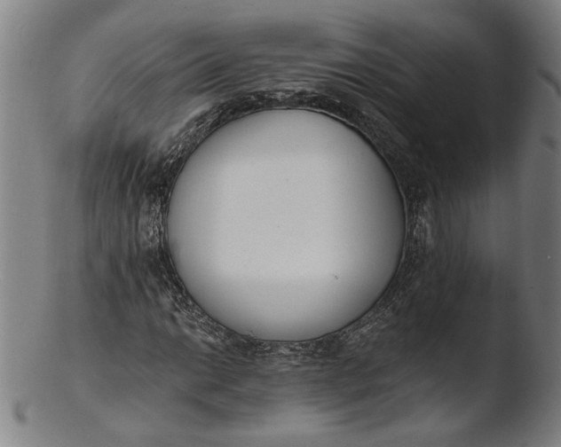 X0000103401014200809261614