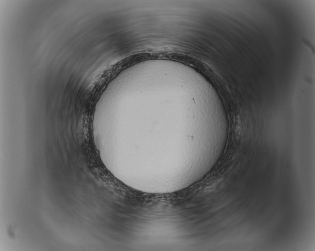 X0000103401016200809261614