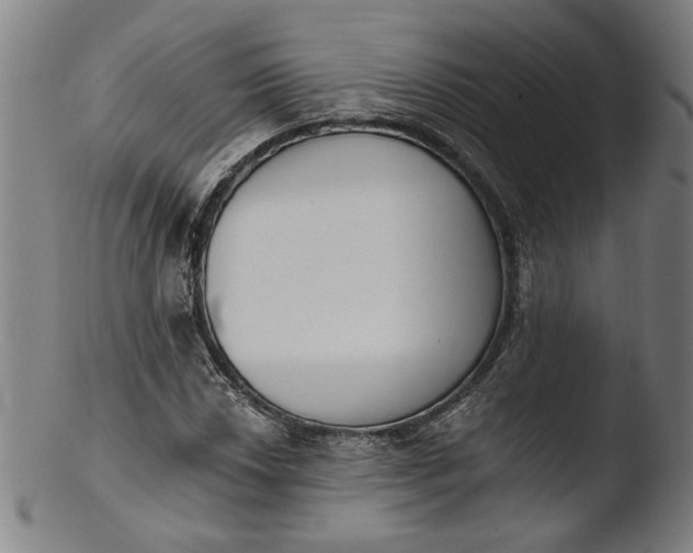 X0000103401018200809261615