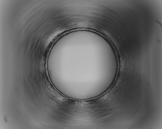 X0000103401019200809261615