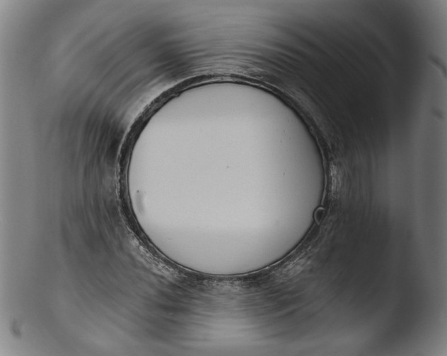 X0000103401020200809261615