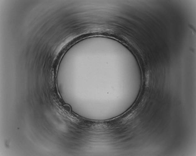 X0000103401021200809261615