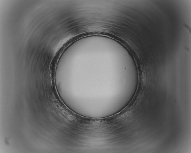 X0000103401022200809261615