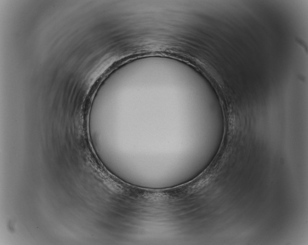 X0000103401023200809261615