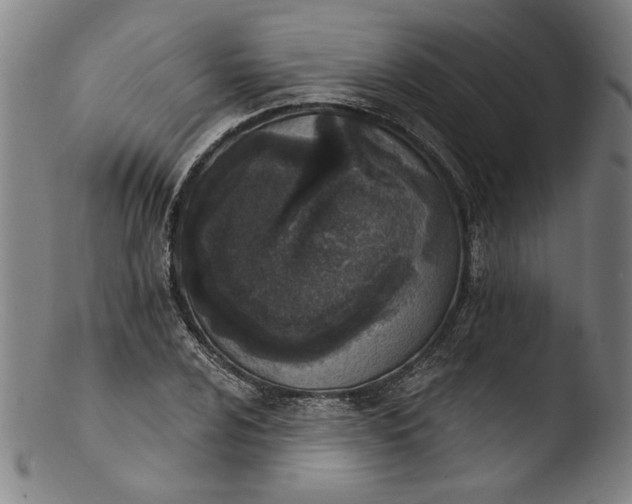 X0000103401024200809261615