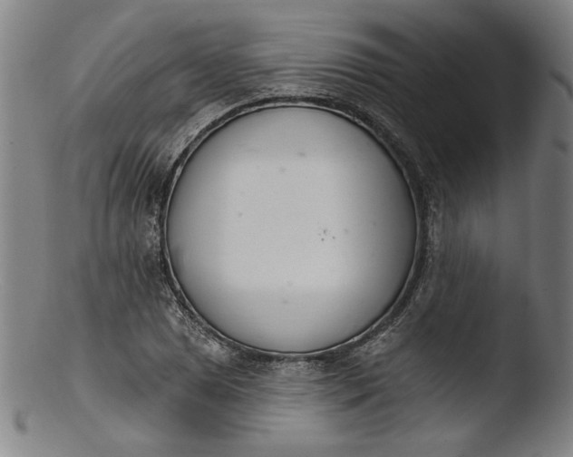 X0000103401025200809261615