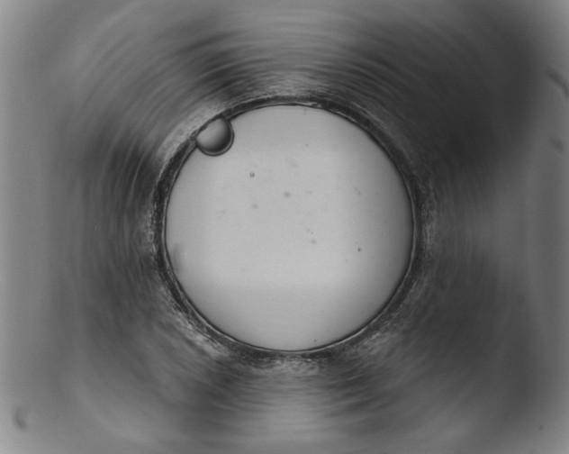 X0000103401026200809261615