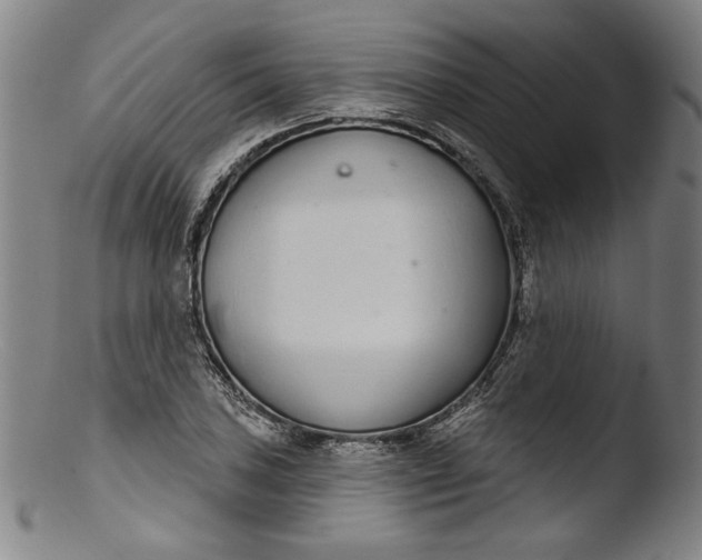 X0000103401027200809261615