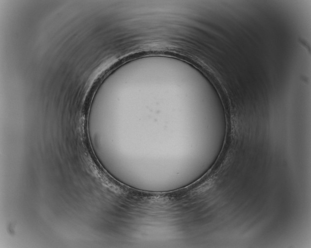 X0000103401029200809261615