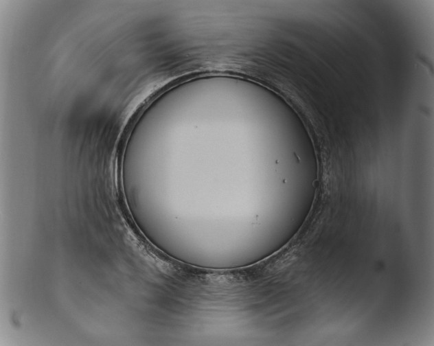 X0000103401032200809261615