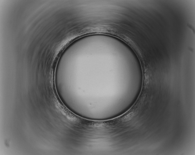 X0000103401035200809261615