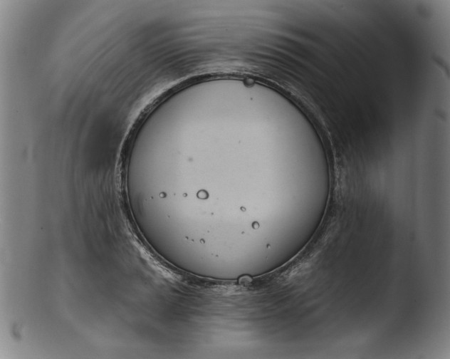 X0000103401037200809261615