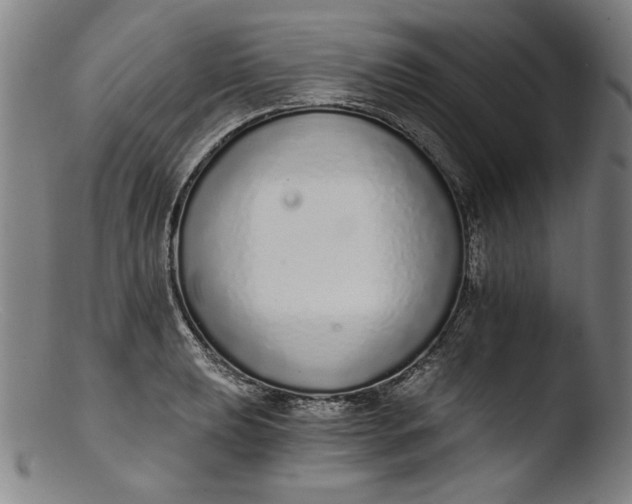 X0000103401039200809261615